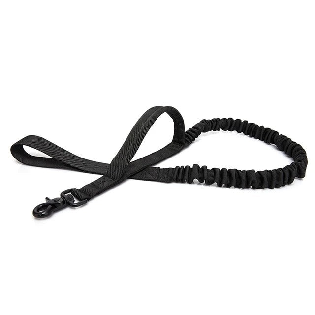 Reflective Thread Dog Leash for Enhanced Safety