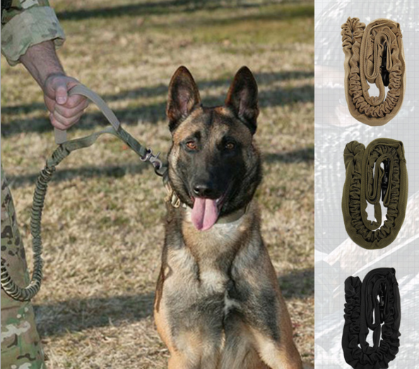 Reflective Thread Dog Leash for Enhanced Safety